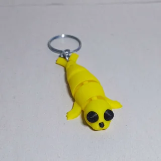 بندکلیدی فک