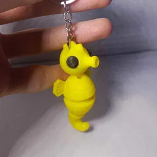 بندکلیدی اسب دریایی