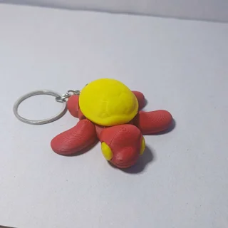 بندکلیدی لاک پشت